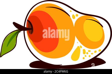 Mango vector Illustration free, Red and Green Mango vector, Flat Mango  Vector, Colorful Mango drawing, Mango fruit icon 16940137 Vector Art at  Vecteezy