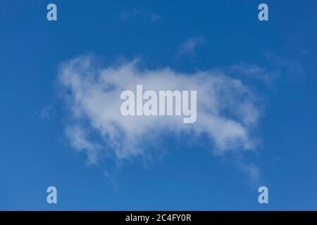 Background of a one single cumulus cloud with a blue clear sky Stock Photo