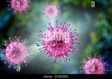 Human cytomegalovirus (HCMV), computer illustration. HCMV is a member of the herpesvirus family. It has a high infection rate and is a major cause of disease in vulnerable newborns and immunocompromised patients, but does not typically cause disease in healthy adults. Stock Photo