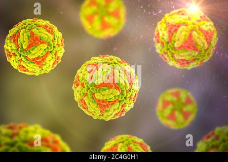 Japanese encephalitis virus (JEV), computer illustration. JEV is an RNA (ribonucleic acid) virus from the Flaviviridae family. It is transmitted by Culex sp. mosquitoes and causes encephalitis (brain inflammation). Stock Photo