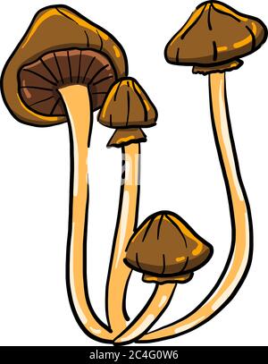 Mushrooms, brown champignon, vector illustration. One line drawing art ...