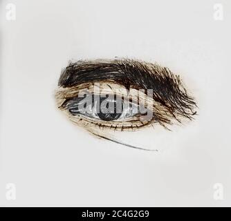 Hand Drawn And Painted Human Eye Of A Old Man With Thick Eyebrows - Pencil Sketch And Coloring By Hand Stock Photo