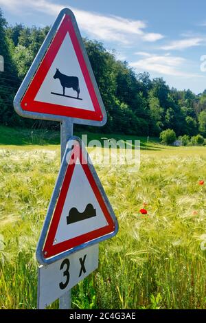 Warning traffic signs - cows (cattle) crossing the road and speed bumps ahead Stock Photo