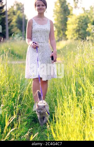 Teenage girl walking with a british short hair male cat on a leash on green grass at countryside in sunny summer day Stock Photo