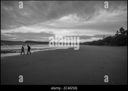 Stanmore Bay beach Auckland New Zealand on a wet Friday afternoon. Neville Marriner Leica M10 Stock Photo