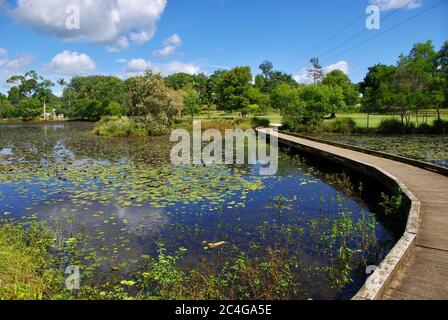 Boardwalk crossing the water of Mapleton Lilyponds in Queensland Australia Stock Photo