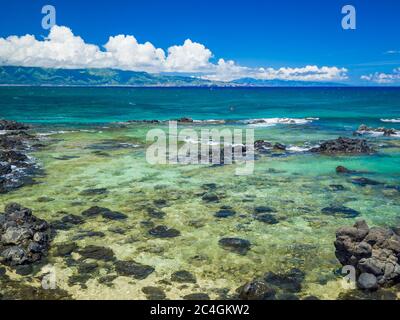 Ho'okipa Beach Park in Maui Hawaii, windsurfing site, big waves and big Turtles Stock Photo