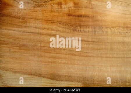 cherry tree texture. cherry wood. high resolution no moire macro Stock Photo