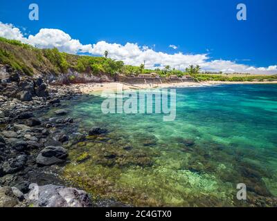 Ho'okipa Beach Park in Maui Hawaii, windsurfing site, big waves and big Turtles Stock Photo