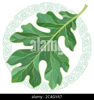 Oak leaf in summer coloring and Celtic magic ornament Stock Vector