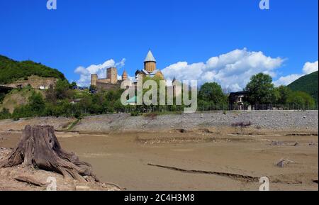 Georgia. Old stump on Zhinvali lake. Ananuri. In the spring. Stock Photo