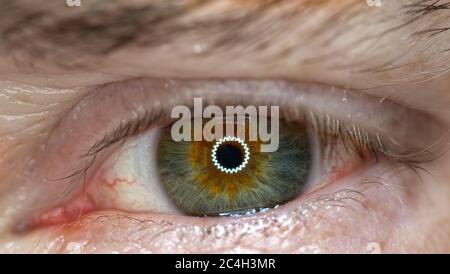 hazel coloured eye in macro Stock Photo
