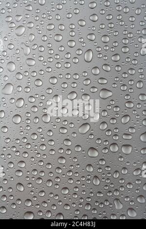 Drops of water on grey background. Metallic surface with water drops. Stock Photo