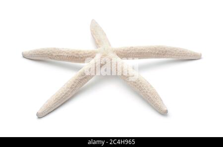 Finger starfish isolated on white Stock Photo