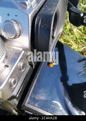 Small ladybug sitting on a dusty camera in the sun Stock Photo