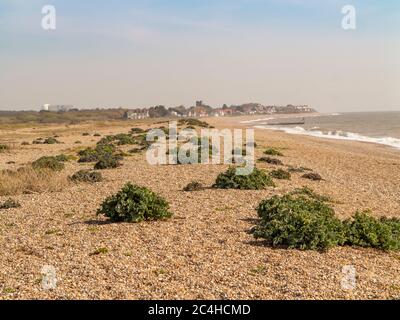 A view of the totally deserted beach at Aldeburgh Suffolk looking towards Thorpness and Sizewell on the horizon Stock Photo