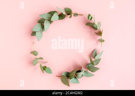 Wreath frame made of branches eucalyptus and leaves isolated on pink background. lay flat, top view Stock Photo