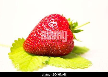 Red and ripe strawberry in the leaves on a white background - Isolate Stock Photo