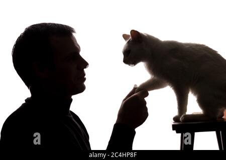 Young man play with a kitten - silhouette Stock Photo