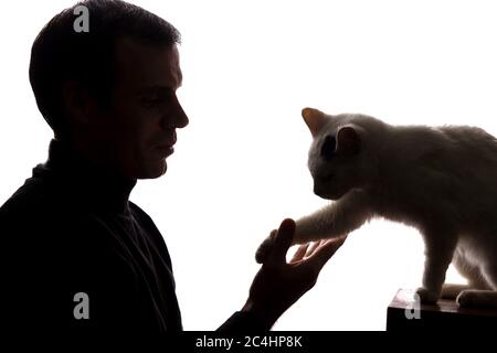 Young man play with a kitten - silhouette Stock Photo