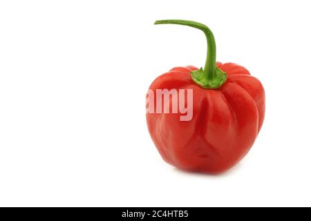 spicy hot red habanero pepper on a white background Stock Photo