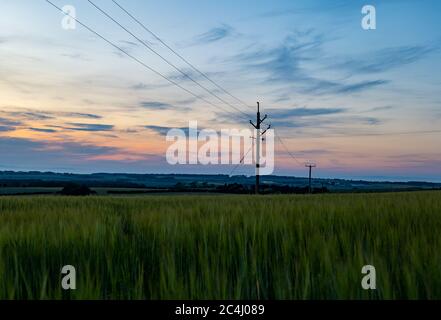 Colourful pink sky at dusk overlooking agricultural landscape grain crop with electricity cable poles across field, East Lothian, Scotland, UK Stock Photo