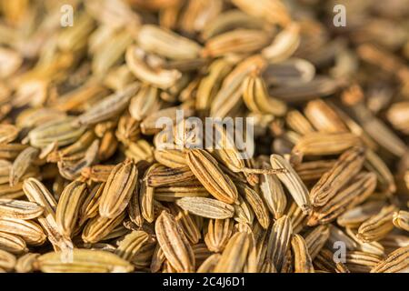 Closeup macro shot of dried fennel seeds Stock Photo