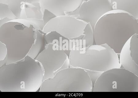 White broken egg shells close up full frame Stock Photo