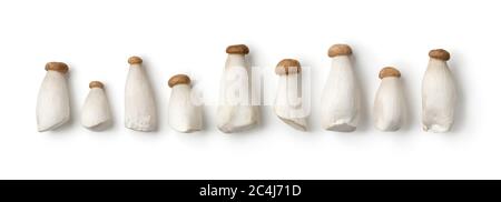 Row of fresh mini king oyster mushrooms isolated on white background Stock Photo