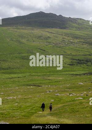 Brown willy on Bodmin Moor,  the highest point in Cornwall, UK Stock Photo