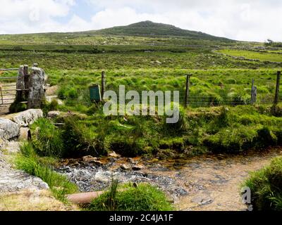 The De Lank River a tributary of the River Camel with Brown Willy the highest point in Cornwall behind, Bodmin Moor, Cornwall, UK Stock Photo