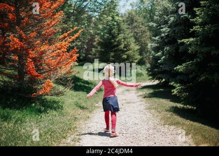 Cute little young girl walking alone in wild forest. Happy kid exploring nature in park. Child enjoying sunny summer day outdoor. View from back behin Stock Photo