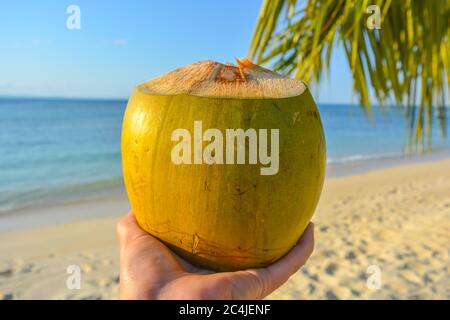 Amazing tropical scene: caucasian hand holding a green, huge, tasty  freshly picked coconut. In the back exotic empty beach with blue turquoise ocean, Stock Photo