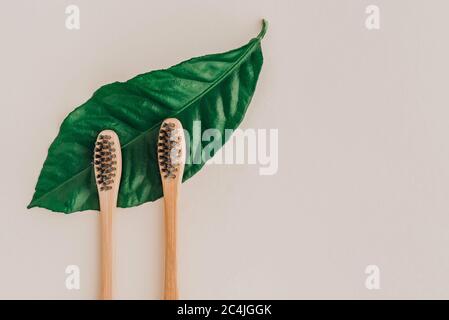Bamboo natural toothbrushes and fresh leaves on pale background. Zero waste and plastic free concept. Sustainable lifestyle concept. Stock Photo