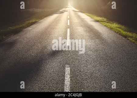 Wet asphalt road in forest against the sun. Stock Photo