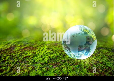 glass globe Concept day earth Save the world save environment The world is in the grass of the green bokeh background Stock Photo