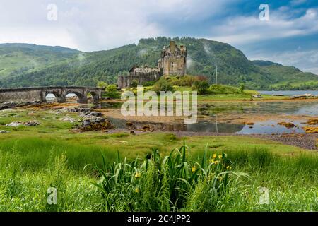 EILEAN DONAN CASTLE LOCH DUICH HIGHLAND SCOTLAND BRIDGE LEADING TO THE CASTLE ON AN ISLAND IN EARLY SUMMER AND YELLOW IRIS FLOWERS ON THE SHORE Stock Photo