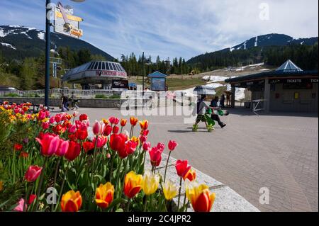 Whistler, BC, Canada: Snowboarders walking in the village in spring - Stock Photo Stock Photo