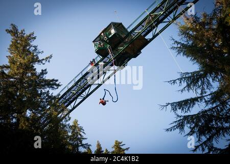 Whistler, BC, Canada: Bungee jumping at Whistler Bungee - Stock Photo Stock Photo