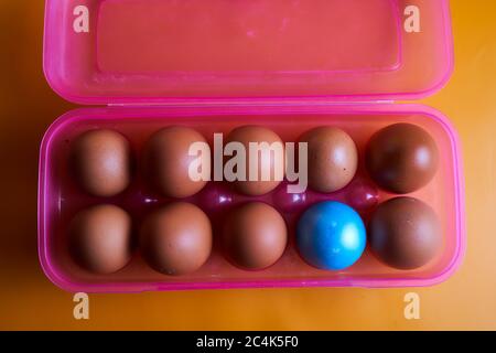 chicken eggs with plastic box on a pink background. One piece is blue. Concept photo. Stock Photo