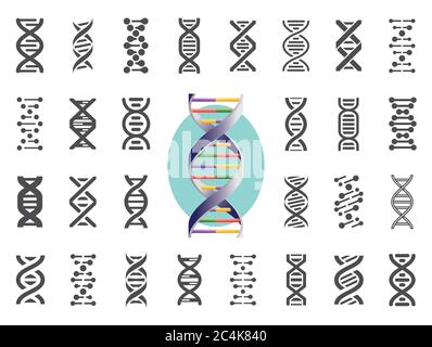 Set of DNA icons. Human genetic variation. Vector illustration. Stock Vector