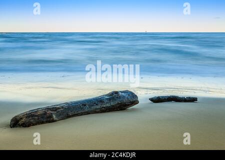 Sandy beach with two old tree trunks. Idyllic stretch of beach with small waves in the evening. Autumn mood on the island of Rügen with blue sky on th Stock Photo