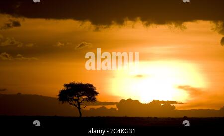 Sunset in the Maasai Mara National Park, Kenya, East Africa Stock Photo