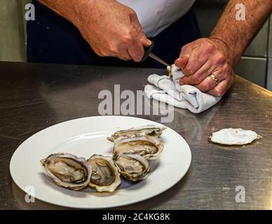 Gourmet Dish: Oysters Opening and arranging an oyster plate Stock Photo