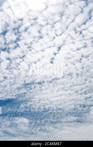 Thin fragrant clouds in the sunny sky Stock Photo