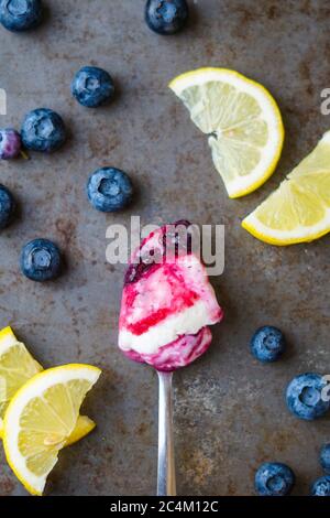 Lemon Frozen Yogurt with Blueberry Sauce Stock Photo