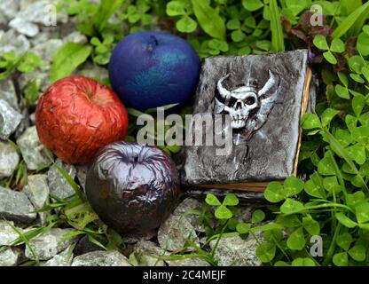 Colorful magical apples and hand crafted witch book of spells in the grass. Esoteric, gothic and occult background with magic objects, mystic and fair Stock Photo