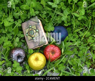 Hand crafted witch book with apples in the garden. Esoteric, gothic and occult background with magic objects, mystic and fairy tale concept Stock Photo