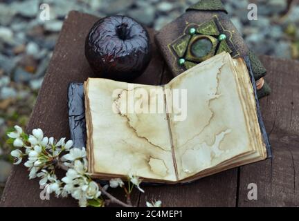 Open diary with empty pages, black apple and blooming branch on planks. Esoteric, gothic and occult background with magic objects, mystic and fairy ta Stock Photo