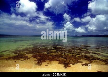 Yonehara Beach, Low Tide, Ishigaki, Yahema Islands, Okinawa, Japan
